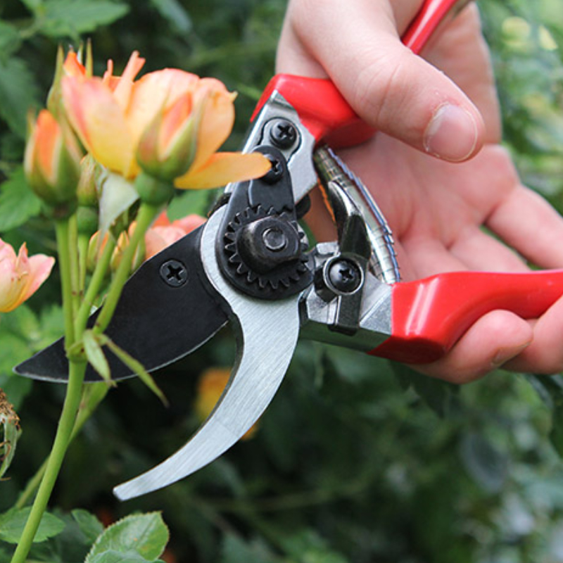 Cutting & Pruning Tools
